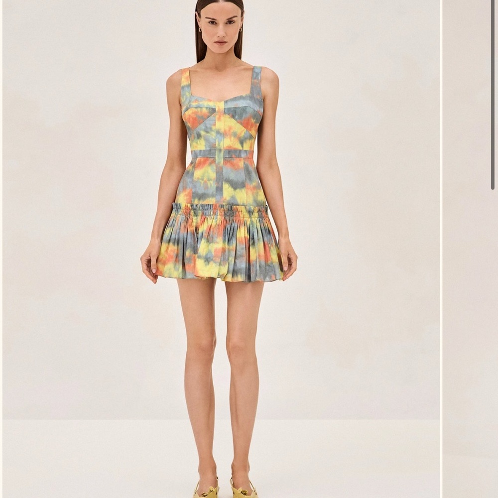 Alexis Cassidy dress multicolor
